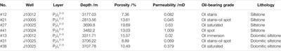 Evaluation Model and Application of Shale Oil Production Efficiency Under Energy-Depleted Development Mode in Jimsar Sag